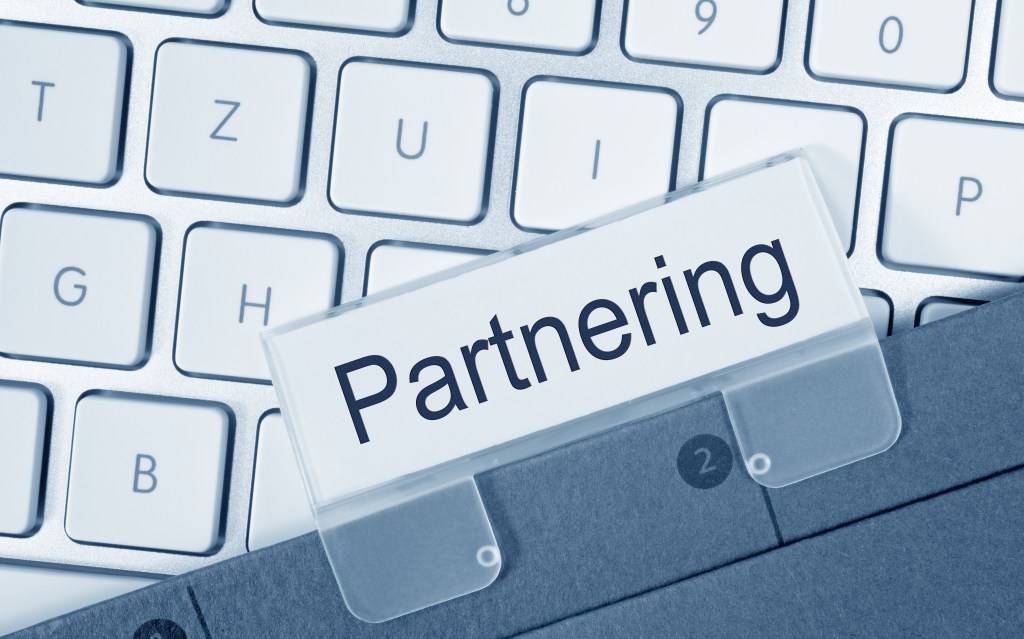 SYNERGISTIC PARTNERSHIPS